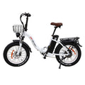 Fat Bike DrveTion CT20 750W 48V 20Ah